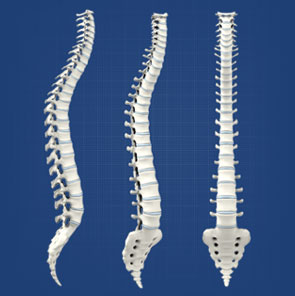 Total Spine Care